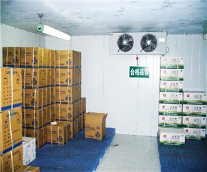 滁州医药冷库建造案例