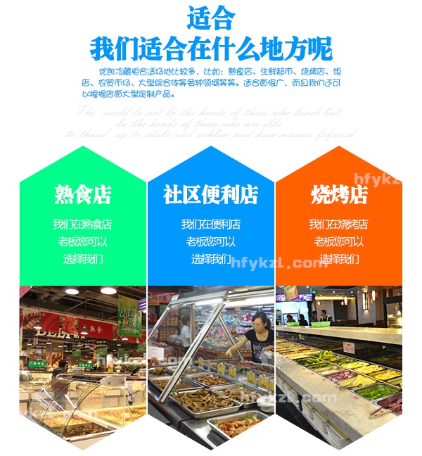17-SS-A前开门熟食柜-分类页面