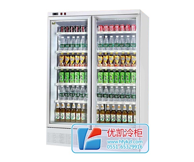 二门整机风冷饮料展示柜（底置压缩机）