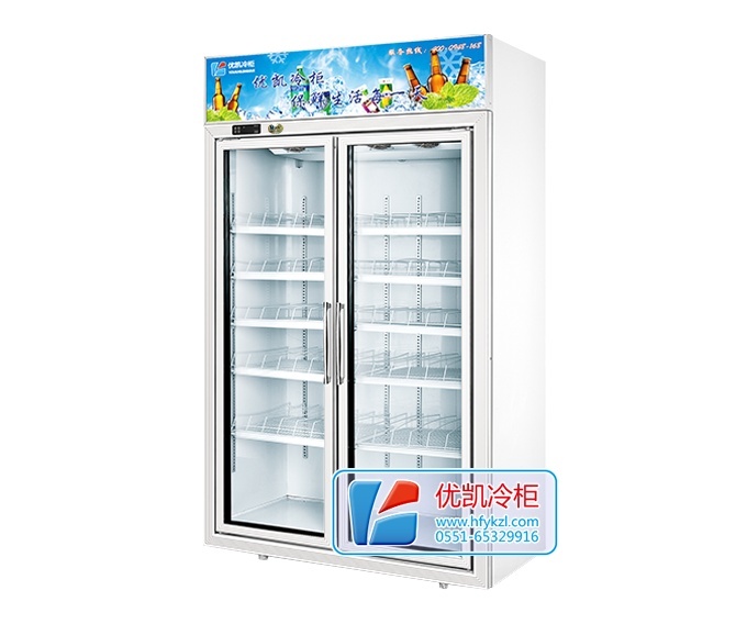 双门饮料柜