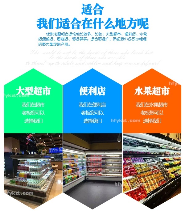 （原三洋版）LF-SY型风幕柜